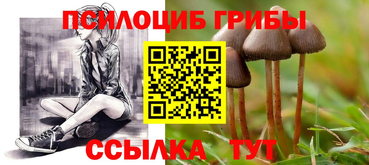 Кинель  Галлюциногенные грибы MAGIC MUSHROOMS  Вход с VPN 