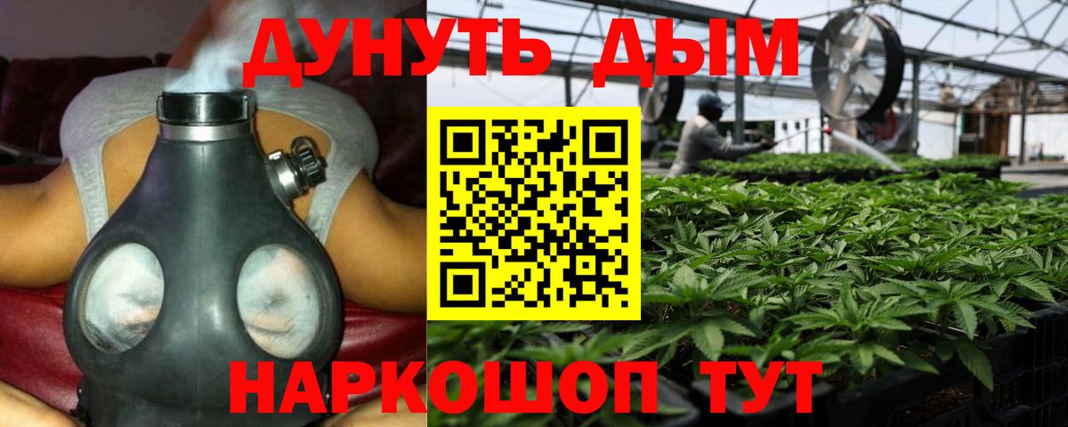 Конопля ГИДРОПОН  Вход с VPN  Кинель  Бошки Шишки план 
